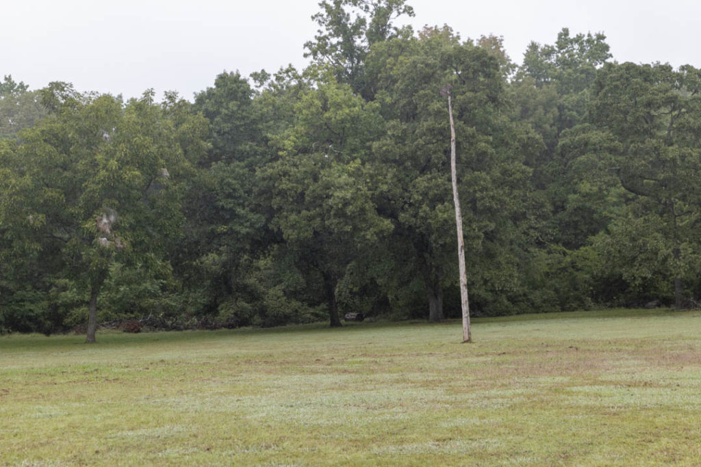 The stickball post at Fort Washita - photo by Dennis Spielman