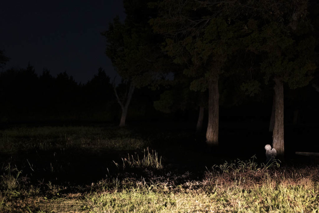 The Cemetery next to Sutton Wilderness - photo by Dennis Spielman